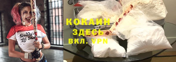 мдпв Елизово