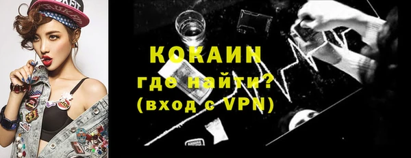 мдпв Елизово