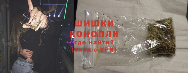 мдпв Елизово