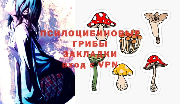 дмт Елабуга