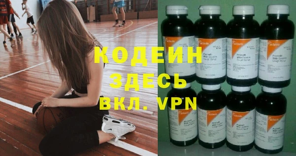 мдпв Елизово