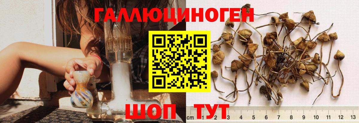 Галлюциногенные грибы ЛСД  Вход с VPN  Ирбит 